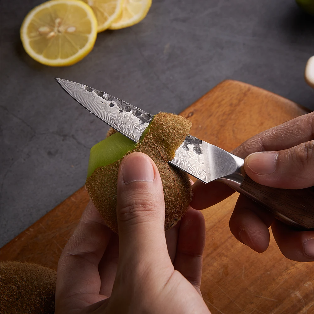 Paring Knife, Hikari – Damascus Blade with Premium Walnut Handle for Precision Cutting and Delicate Tasks - Hikari