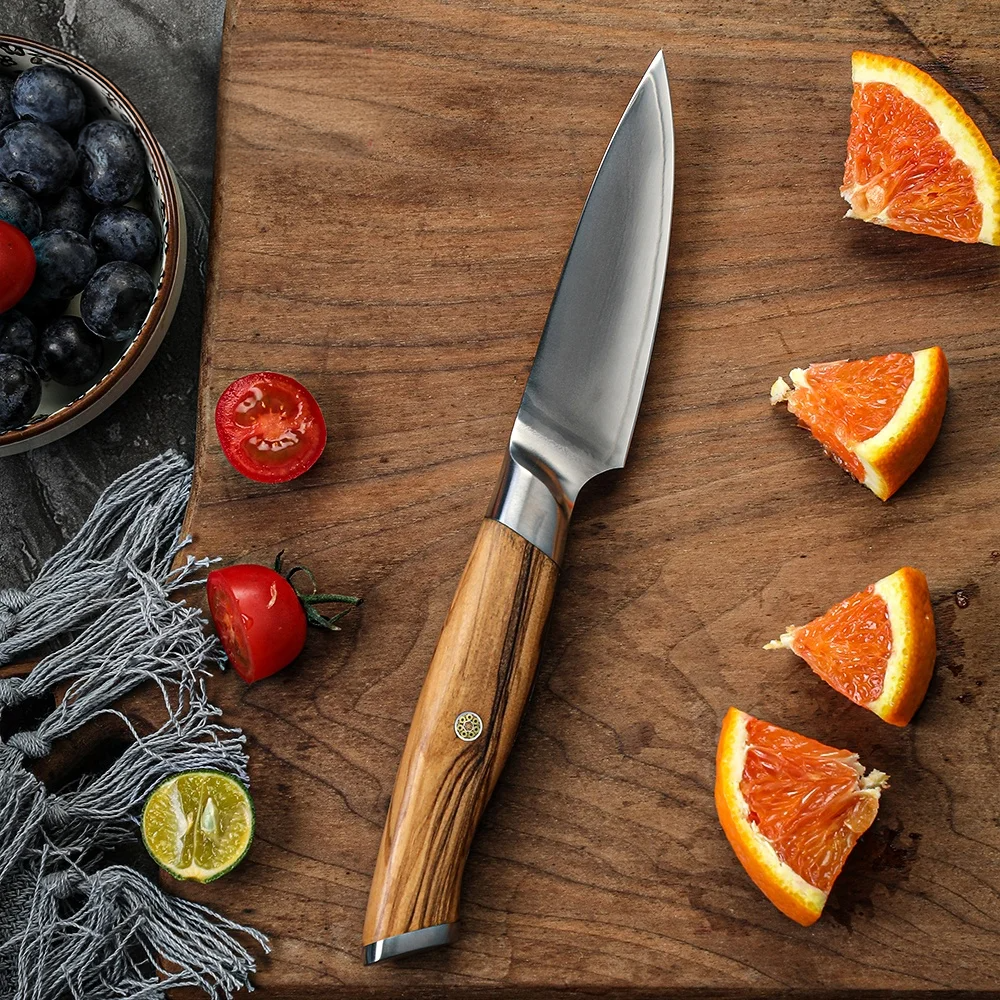 Professional Paring Knife, Hikari – VG-10 Steel Blade with Olive Wood Handle – Precision Knife for Small Kitchen Tasks - Hikari